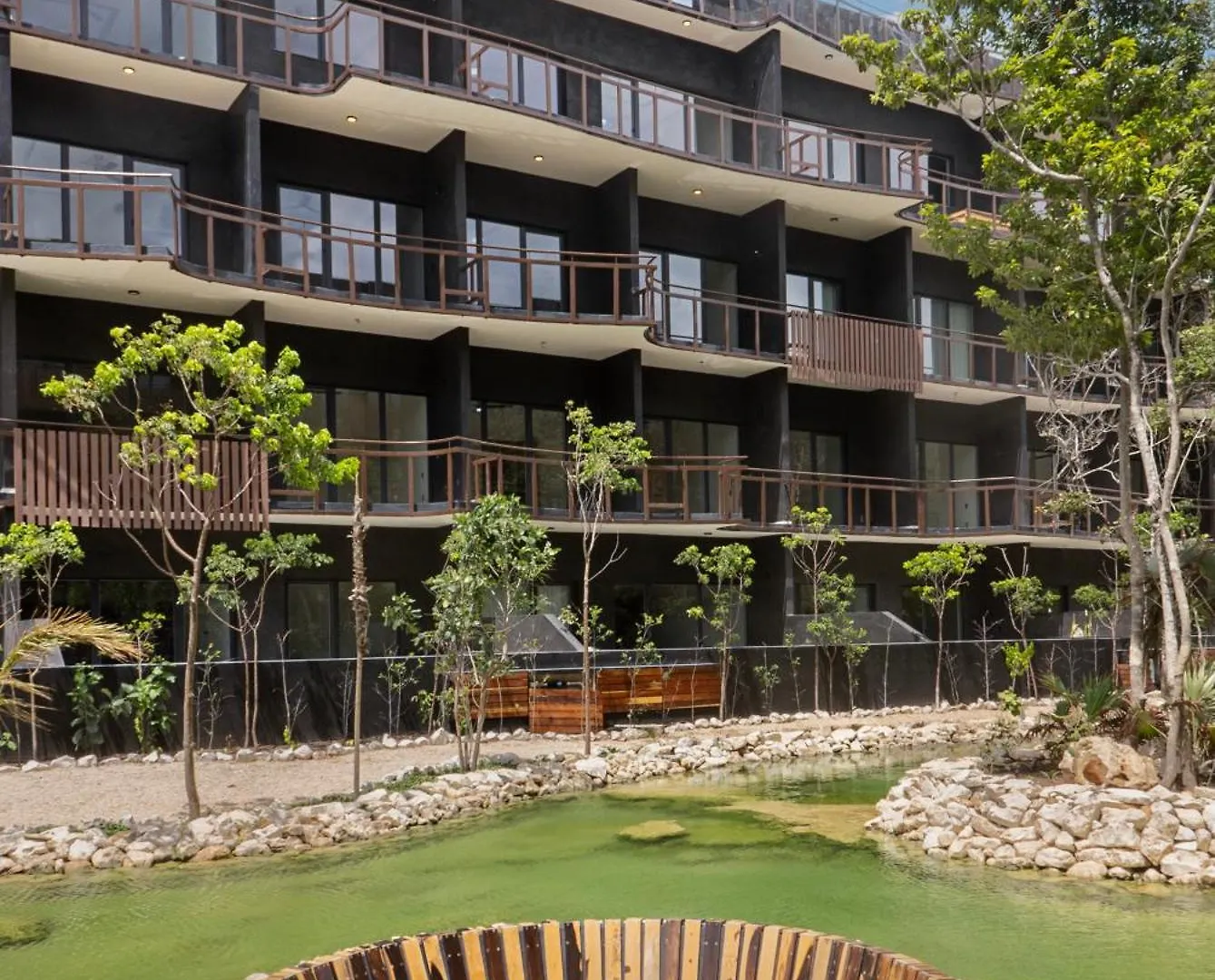 Nuevo Estudio Zona Hotelera Piscina En La Azotea Con Vista Al Mar 图卢姆